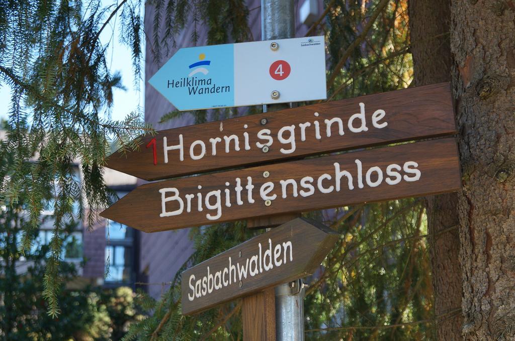Terrassenpark Apartments Sasbachwalden Eksteriør billede