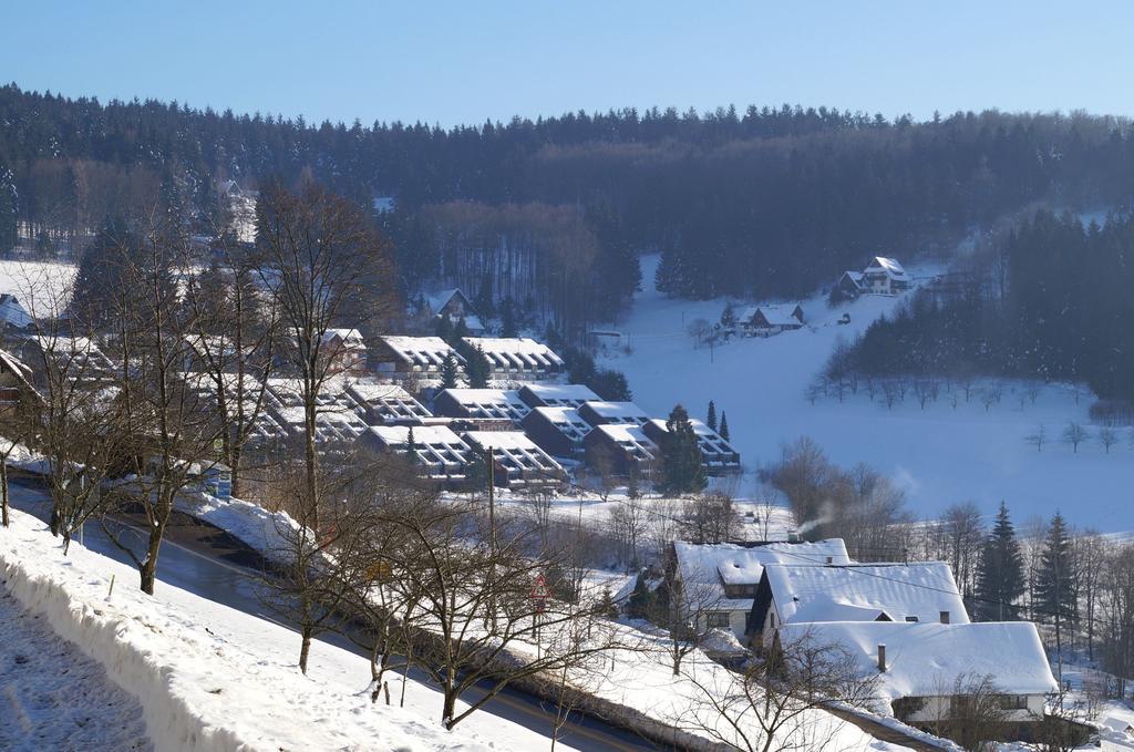 Terrassenpark Apartments Sasbachwalden Værelse billede